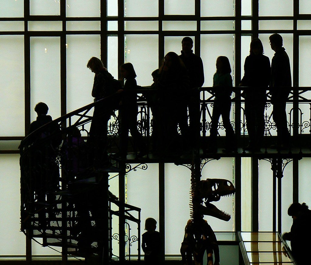Sortir à Bruxelles sans se ruiner : musées gratuits, ciné et bons plans étudiants