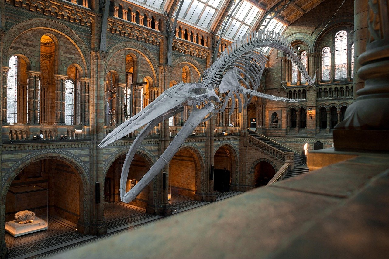 7 musées fun à Bruxelles pour des sorties qui déchirent